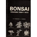 Bonsai - miniaturní strom v misce