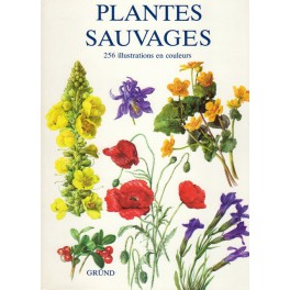 Plantes sauvages