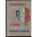 Kapesní slovník francouzsko-český a česko-francouzský